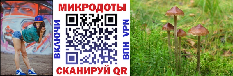 Галлюциногенные грибы Psilocybe  дарк нет официальный сайт  Гуково 